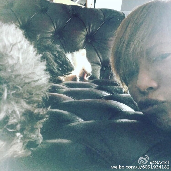 2016-nov05-weibo-02