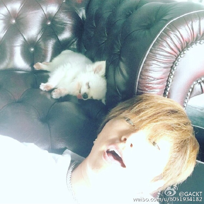 2016-nov05-weibo-04