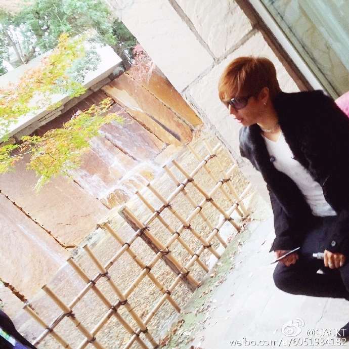 2016-dic08-weibo01-1