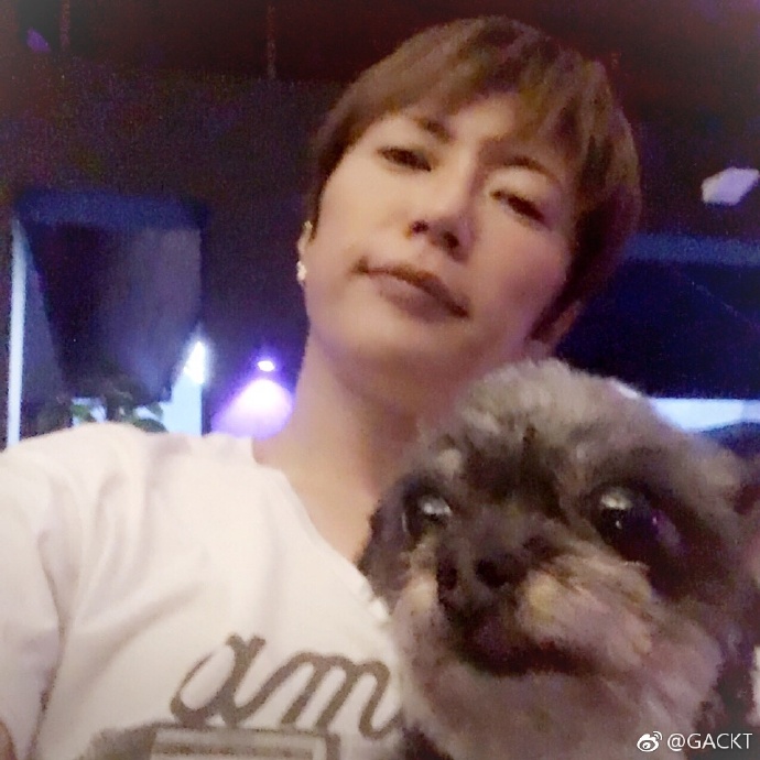 GACKT OFFICIAL WEIBO, GACKT, GACKT Italia, GACKT 2017, GACKT translation