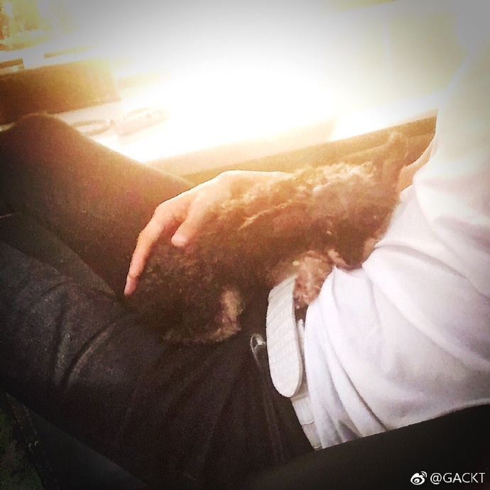 GACKT OFFICIAL WEIBO, GACKT, GACKT Italia, GACKT 2017, GACKT