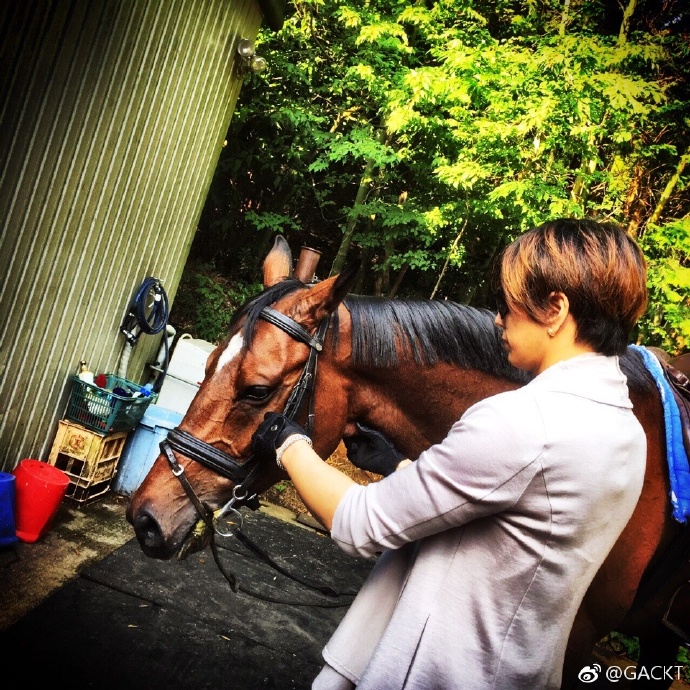 GACKT OFFICIAL WEIBO, GACKT, GACKT Italia, GACKT 2017, GACKT