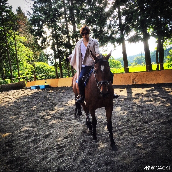 GACKT OFFICIAL WEIBO, GACKT, GACKT Italia, GACKT 2017, GACKT