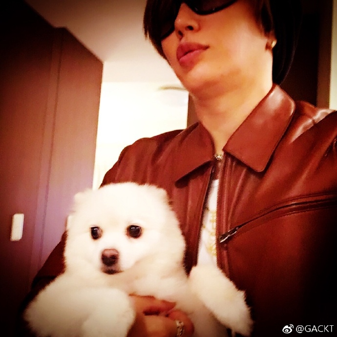 GACKT OFFICIAL WEIBO, GACKT, GACKT Italia, GACKT 2017, GACKT