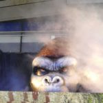 KONG SKULL ISLAND, GACKT, GACKT Italia, GACKT 2017, GACKT translation