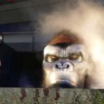 KONG SKULL ISLAND, GACKT, GACKT Italia, GACKT 2017, GACKT translation